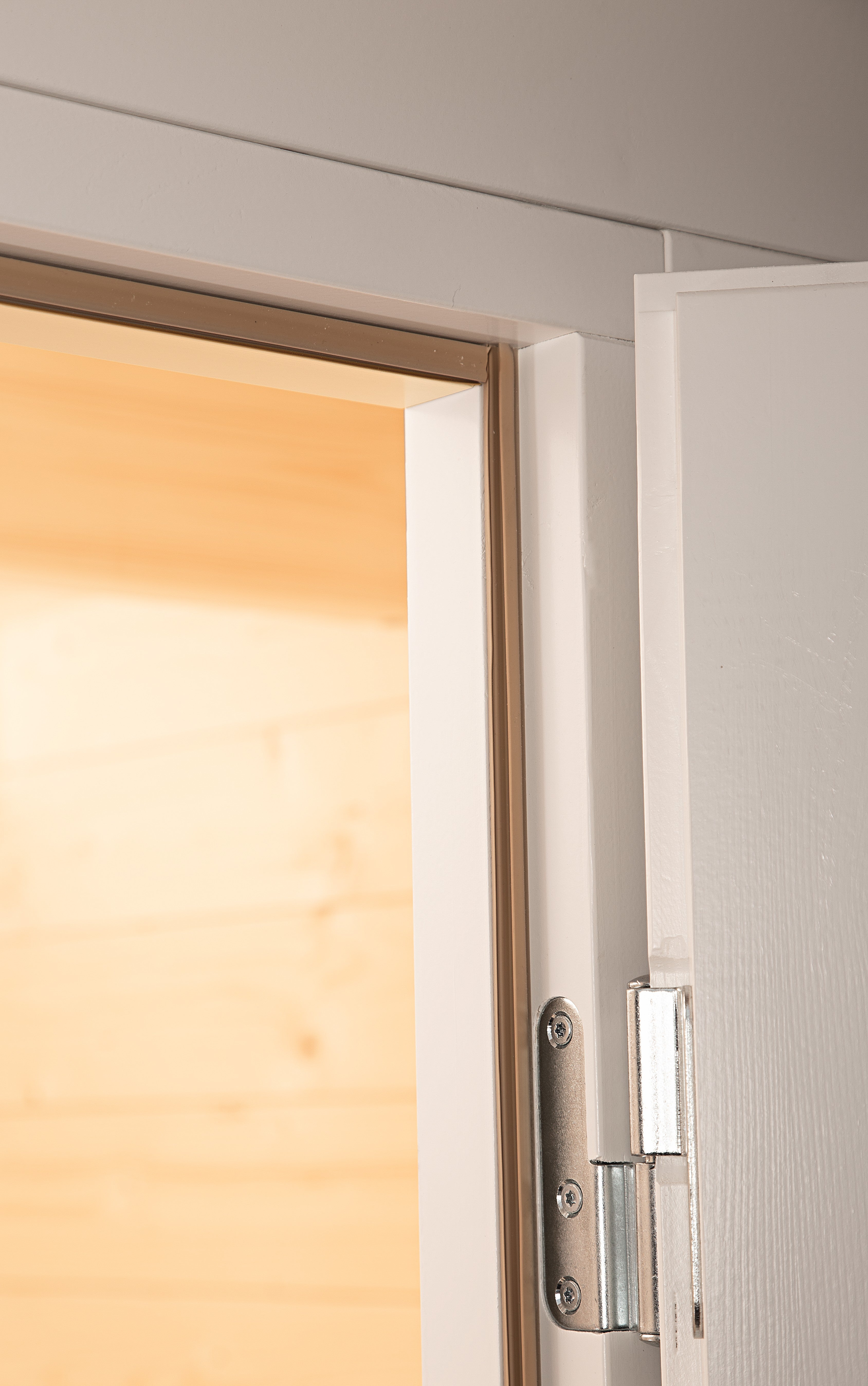 Holz-Gartenhaus / Gerätehaus Birka 2424